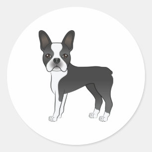 Sticker Rond Illustration du chien Terrier de Boston noir et bl