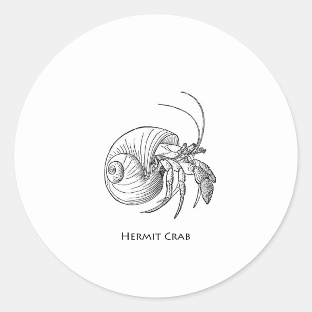Sticker Rond Illustration du crabe d'Hermite (illustration en l (Devant)