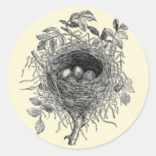 Sticker Rond Illustration du nid d'oiseaux vintage