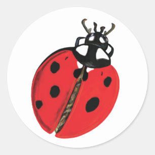 Sticker Rond Illustration Lady Bug