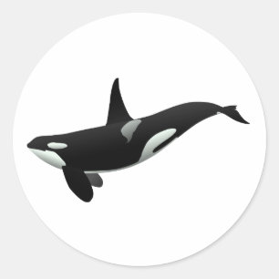 Sticker Rond Illustration Orca whale - Choisir la couleur arri
