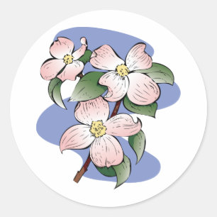 Sticker Rond Illustration rouge de cornouiller fleurissant