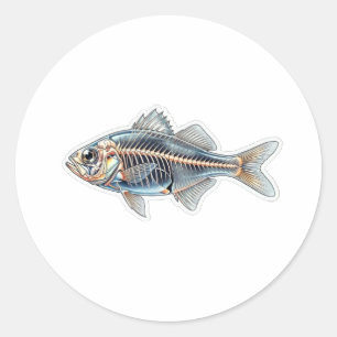 Sticker Rond Illustration scientifique de transparence unique d