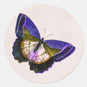 Sticker Rond Illustration vintage de papillon violet et or