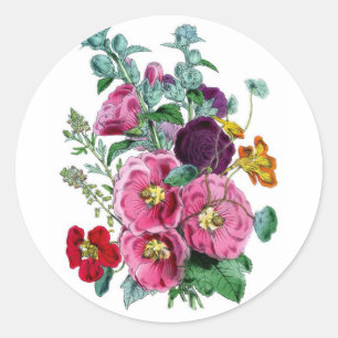 Sticker Rond Illustrations vintages des botaniques Hollyhocks