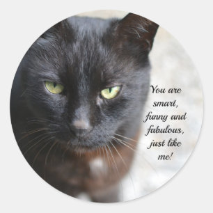 Sticker Rond Image Amoureux des chats noire avec citation motiv