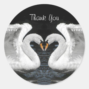 Sticker Rond Image miroir de cygne muet blanc - Merci
