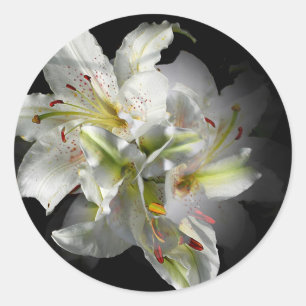 Sticker Rond Imaginaire blanc Lilies