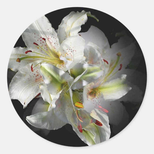 Sticker Rond Imaginaire blanc Lilies (Devant)