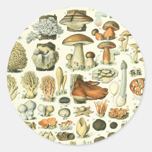Sticker Rond Impression de champignon Adolphe Millot Champignon (Devant)