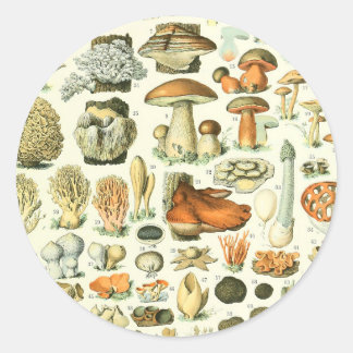 Sticker Rond Impression de champignon Adolphe Millot Champignon