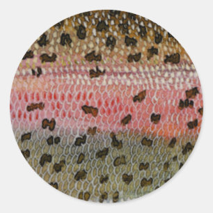 Sticker Rond Impression de la peau de poisson de truite arc-en-