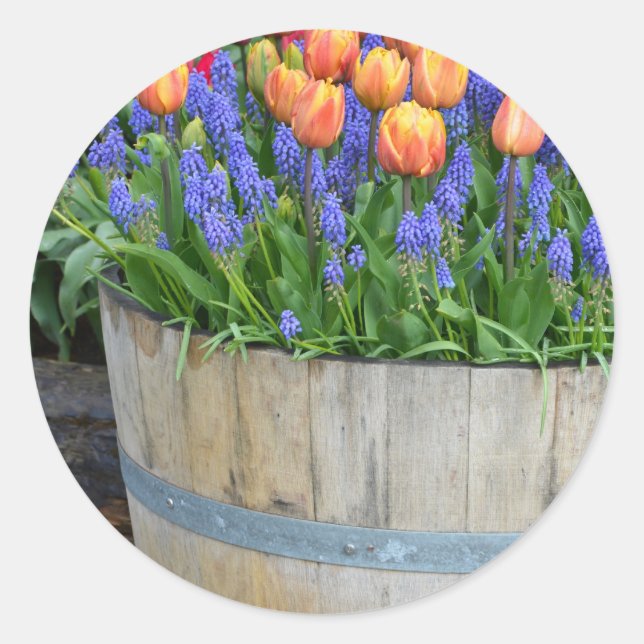Sticker Rond Impression de planteur de tulipe orange de printem (Devant)