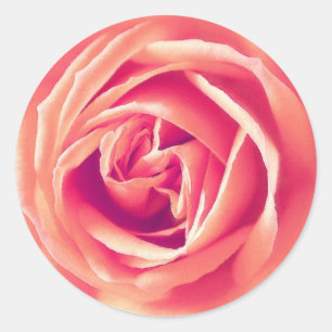 Sticker Rond Impression rose corail