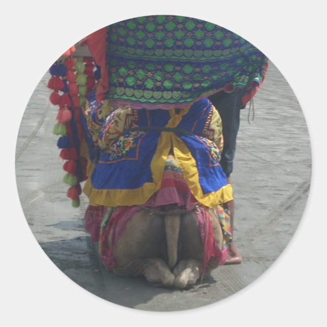 Sticker Rond Imprimé/graphique en forme de chameau (Devant)