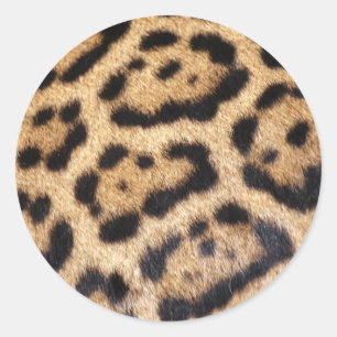 Sticker Rond Imprimer la photo de la fourrure Jaguar