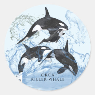 Sticker Rond Incroyable Orques d'aquarelle noire et blanche
