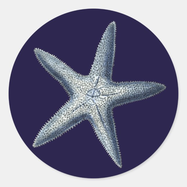 Sticker Rond Indigo Shells IV (Devant)