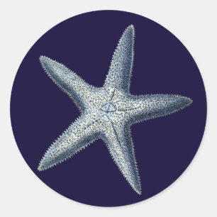 Sticker Rond Indigo Shells IV