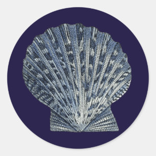 Sticker Rond Indigo Shells VIII