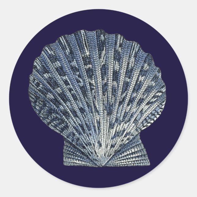 Sticker Rond Indigo Shells VIII (Devant)
