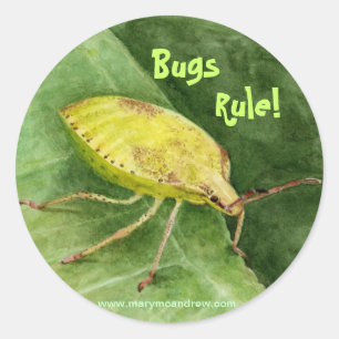 Sticker Rond Insecte vert clair de puanteur