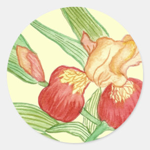 Sticker Rond Iris aquarelle