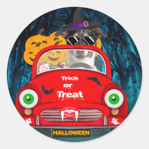 Sticker Rond Jack Russell Chien voiture voiture effrayant Hallo