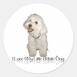 Sticker Rond J'adore mon petit chien blanc - Havanais