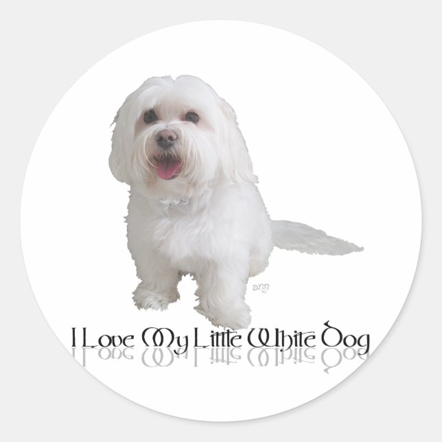 Sticker Rond J'adore mon petit chien blanc - Havanais (Devant)