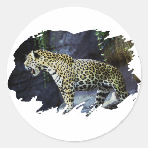 Sticker Rond Jaguar