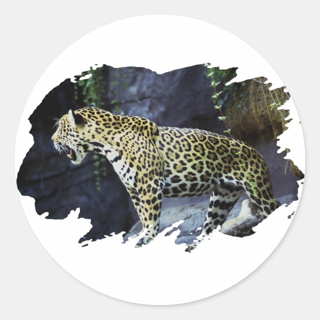 Sticker Rond Jaguar (Devant)