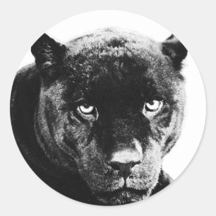 Sticker Rond Jaguar Black Panther