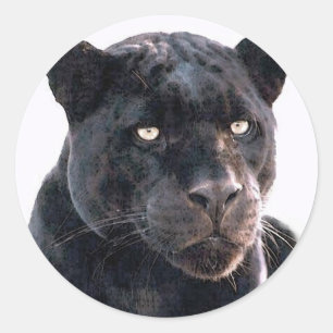 Sticker Rond Jaguar noir