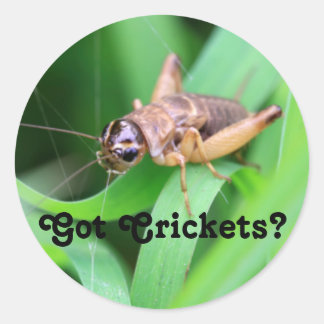 Sticker Rond J'ai des crickets