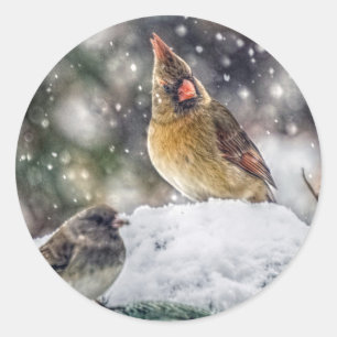 Sticker Rond J'ai mon oeil sur toi