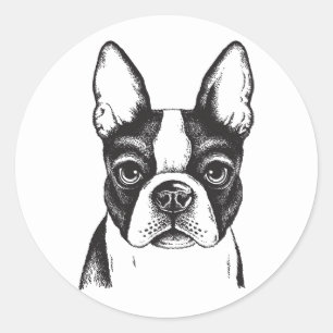 Sticker Rond J'aime Boston Terriers
