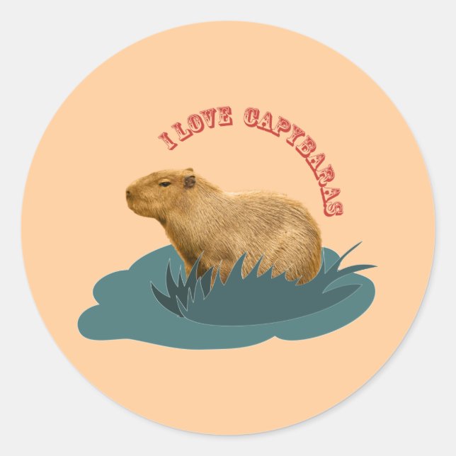 Sticker Rond J'aime les capybaras (Devant)