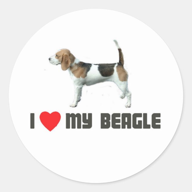 Sticker Rond J'aime mon Beagle (Devant)