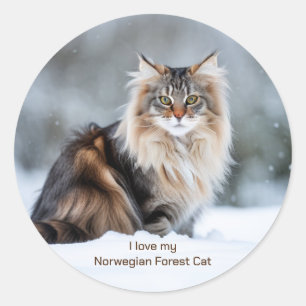 Sticker Rond J'Aime Mon Chat De Forêt Norvégienne Dans La Neige