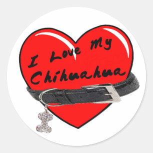 Sticker Rond J'aime mon coeur de chiwawa avec le collier de