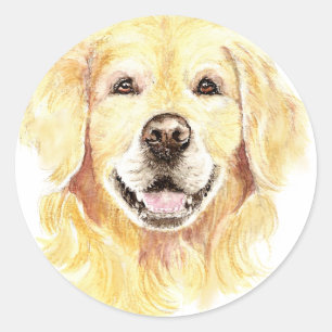 Sticker Rond J'aime mon Golden Retriever, chien, animal de comp