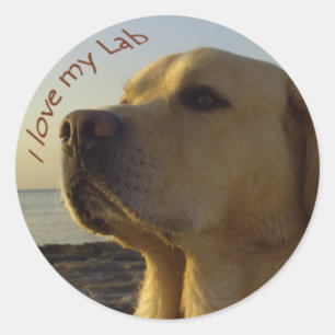 Sticker Rond J'aime mon Lab