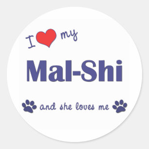 Sticker Rond J'Aime Mon Mal-Shi (Chien Féminin)
