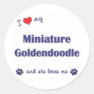 Sticker Rond J'Aime Mon Miniature Goldendoodle (Chien Femme)
