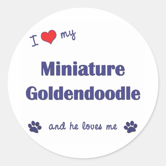 Sticker Rond J'Aime Mon Miniature Goldendoodle (Chien Homme) (Devant)