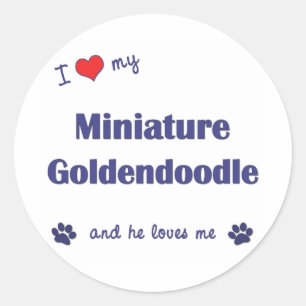 Sticker Rond J'Aime Mon Miniature Goldendoodle (Chien Homme)