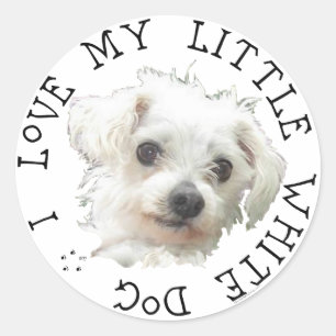 Sticker Rond J'aime mon petit chien blanc - Maltais