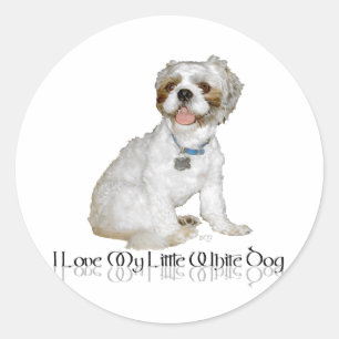 Sticker Rond J'aime mon petit chien blanc - Shih Tzu