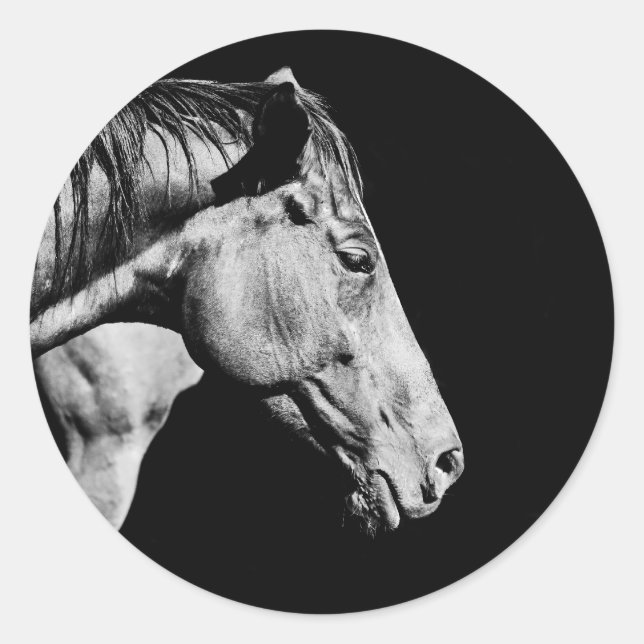 Sticker Rond jambe de cheval (Devant)